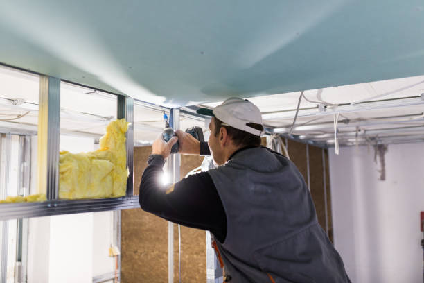 Best Cellulose Insulation  in Pittsboro, NC