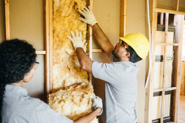 Best Insulation for New Construction  in Pittsboro, NC