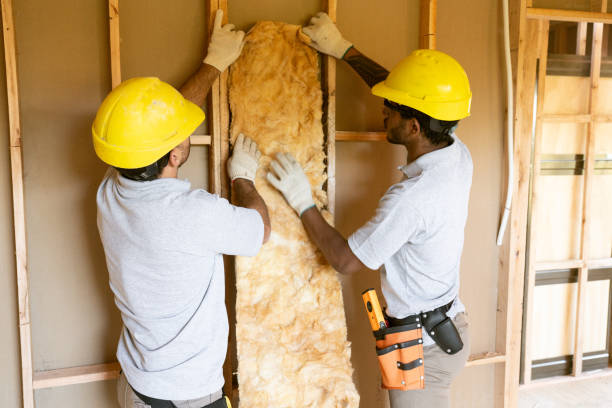 Best Insulation Removal Services  in Pittsboro, NC